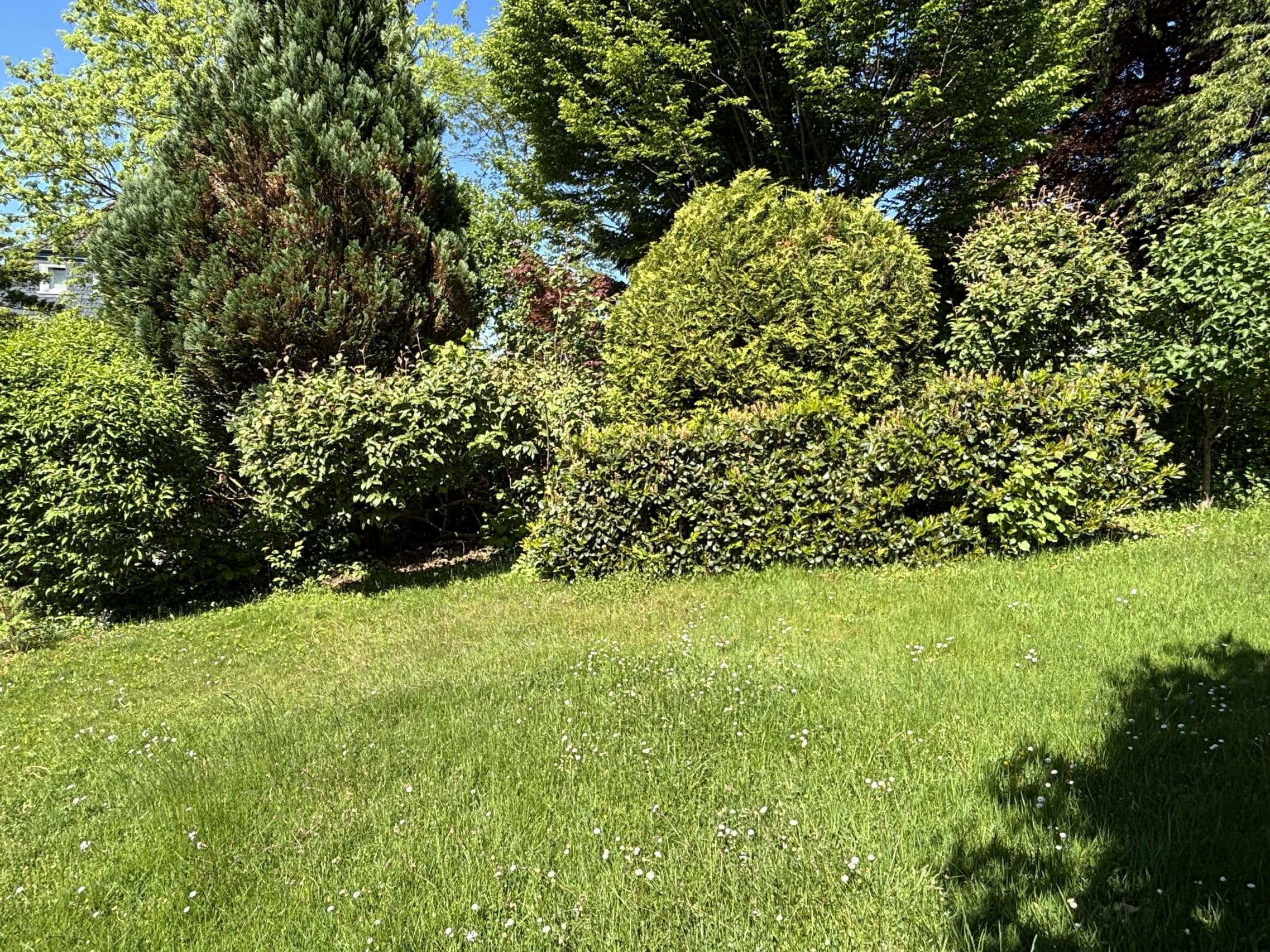 /Immobilien/Importierte%20Bilder/68425281.jpeg