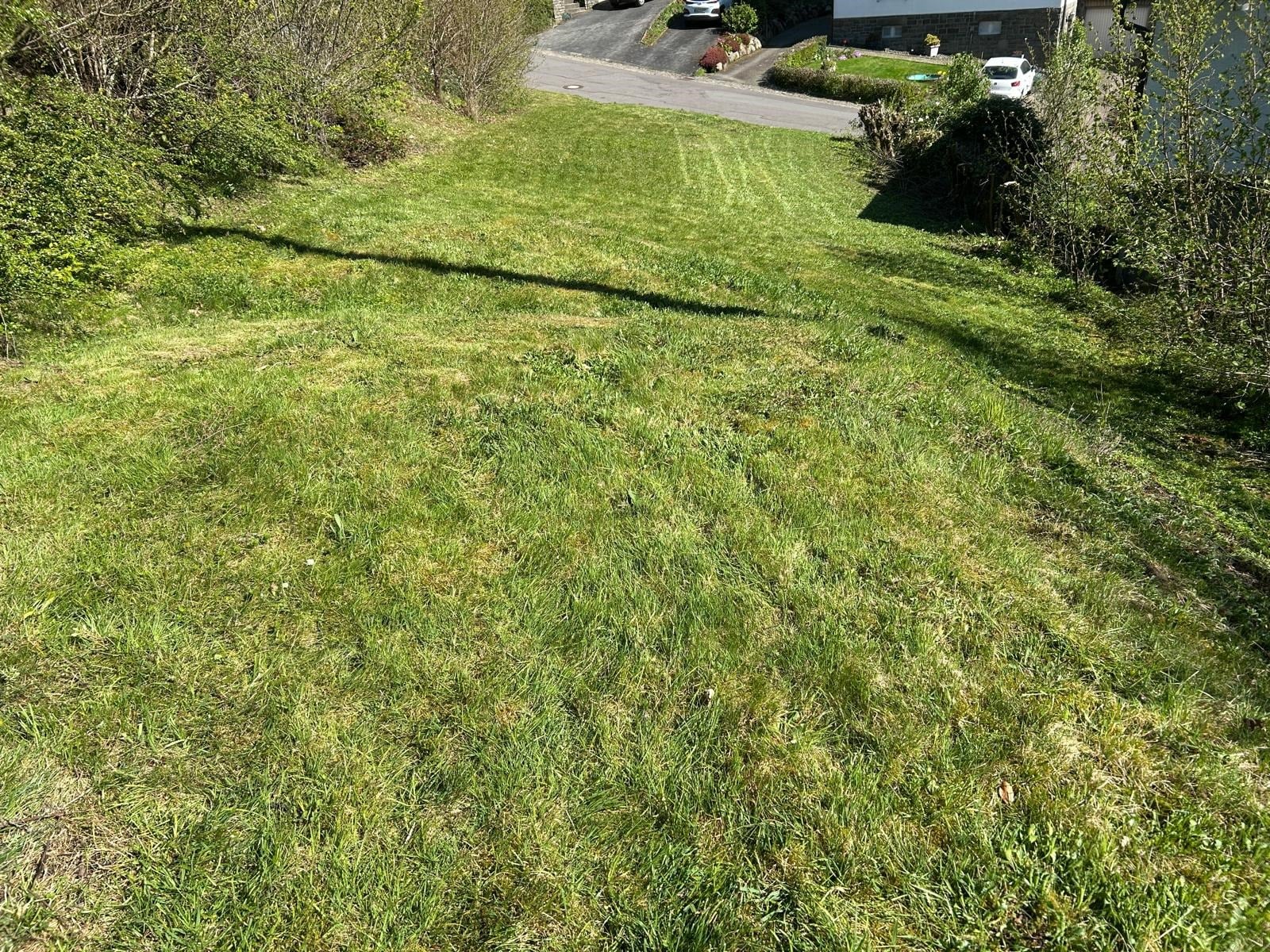 /Immobilien/Importierte%20Bilder/77998241.JPG