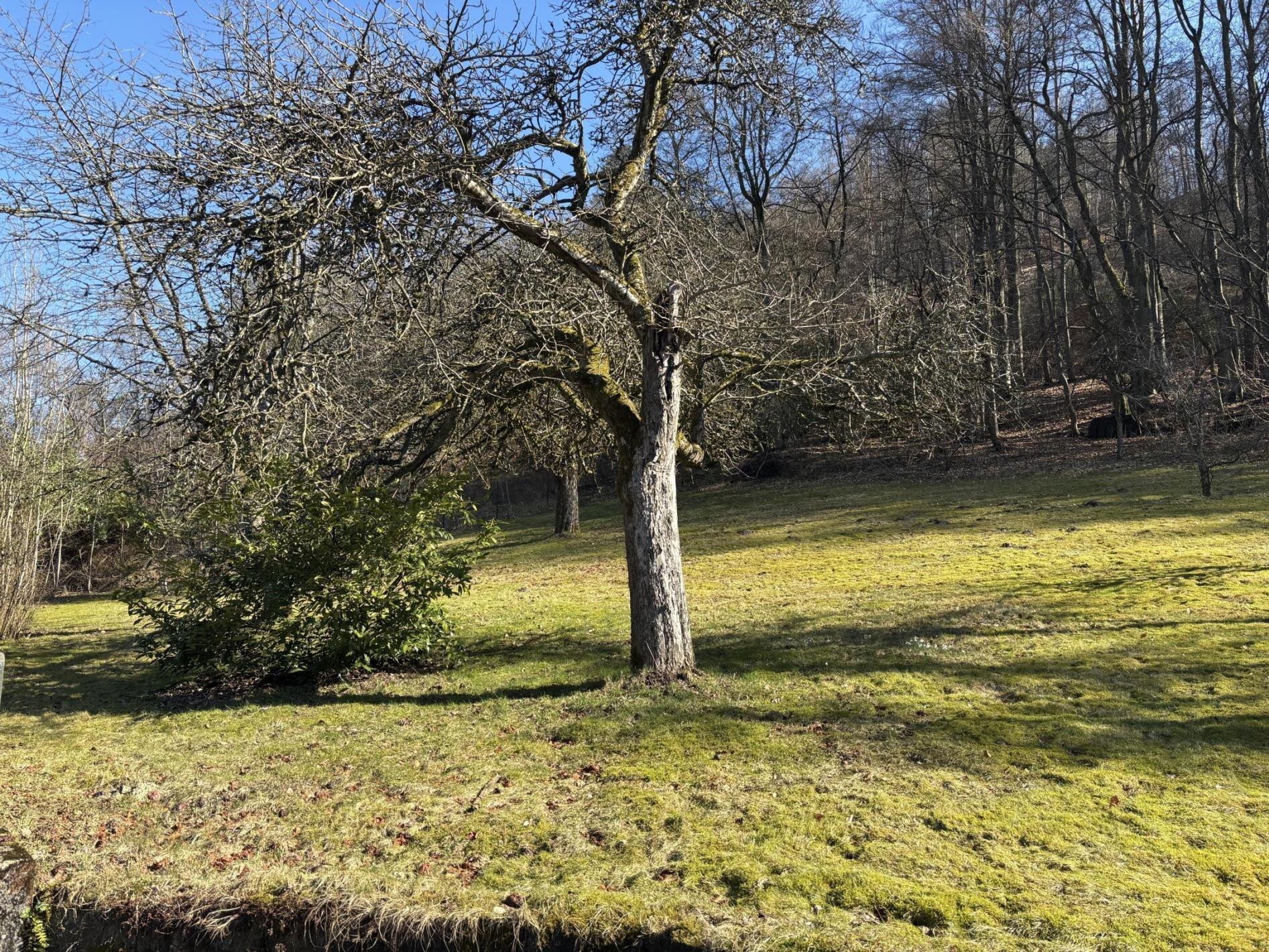 /Immobilien/Importierte%20Bilder/78724761.jpeg