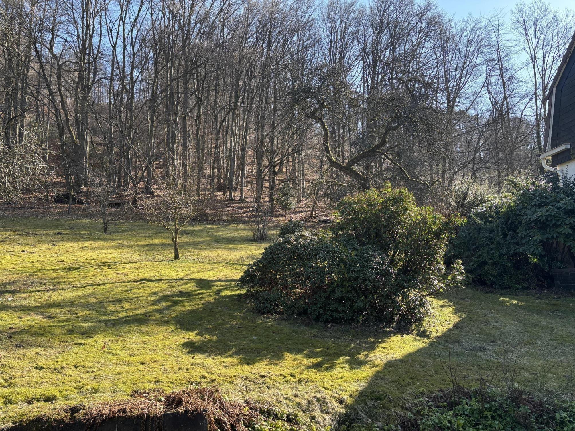 /Immobilien/Importierte%20Bilder/78879631.jpg