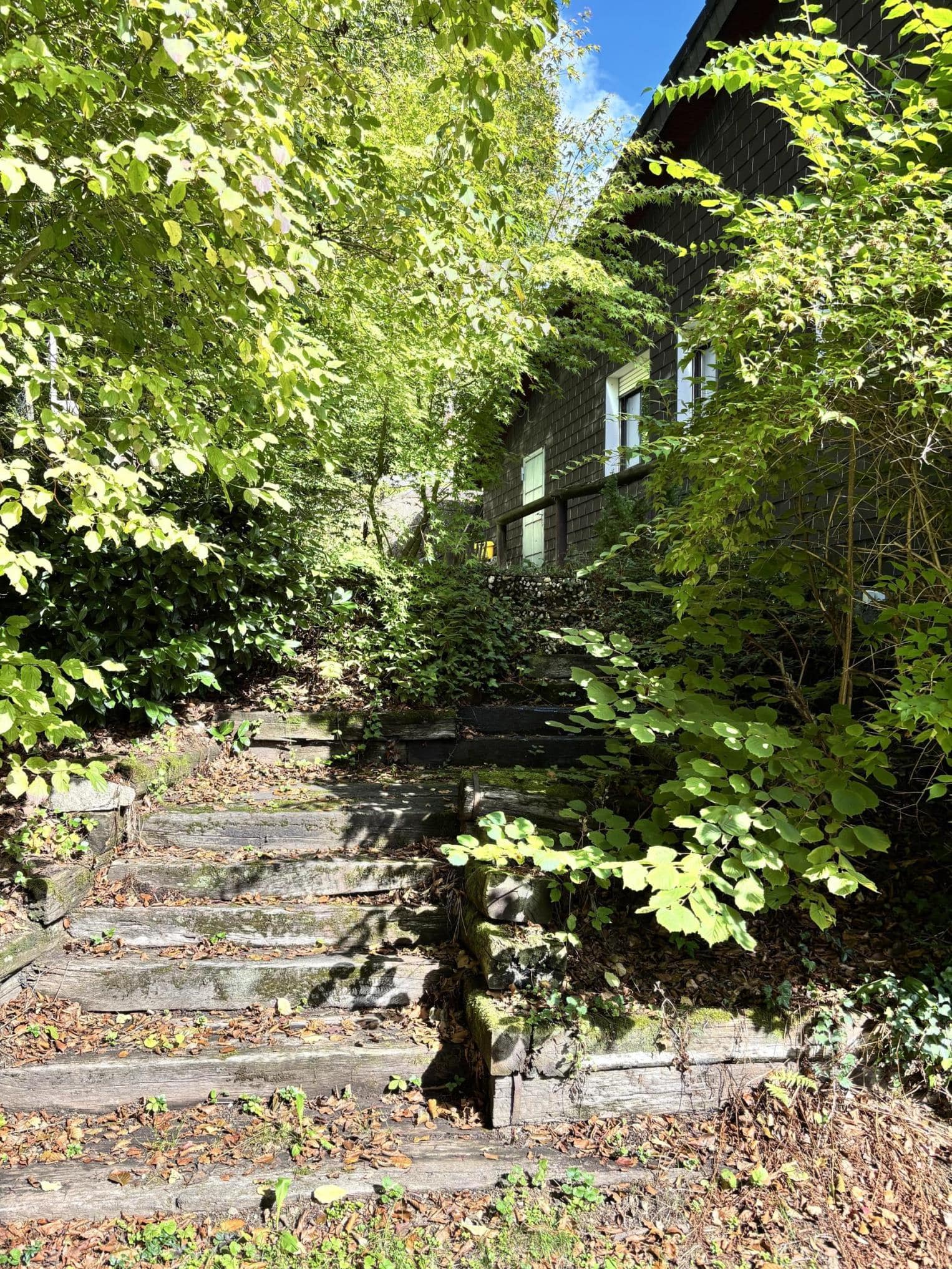 /Immobilien/Importierte%20Bilder/80261241.jpeg