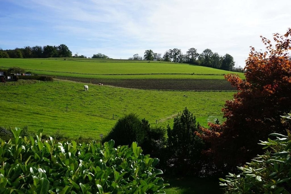 /Immobilien/Importierte%20Bilder/81024001.jpg